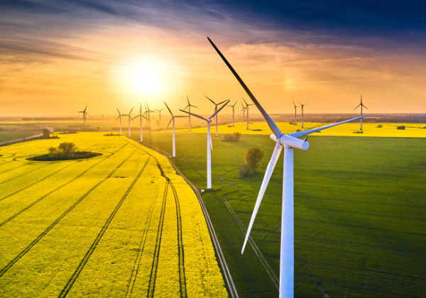 field of wind turbines in sunset in spring